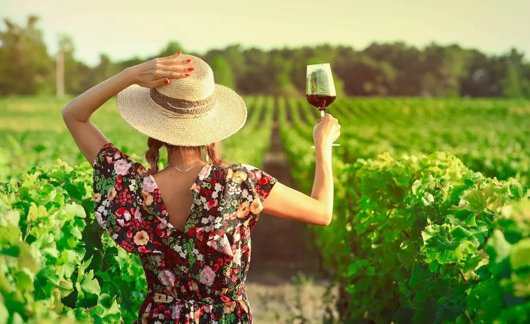 Selling Wine DTC heralds an industry shift