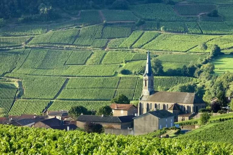 Burgundy wines, an insight for ecommerce