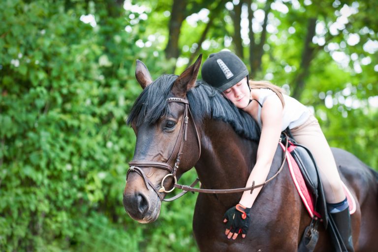 Successful ecommerce marketing for the equestrian saddlery retailer