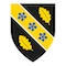 University_of_Wales_Trinity_Saint_David_Logo